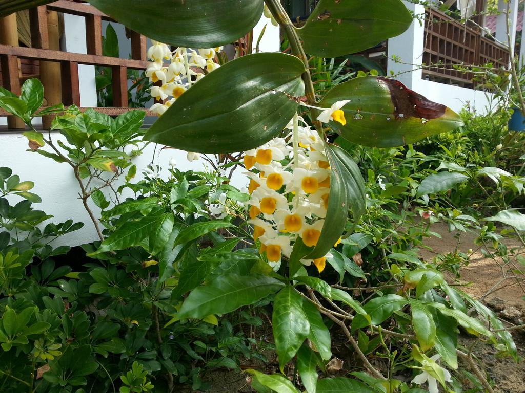 Benjamin'S Hut Hotel Srithanu Exterior foto